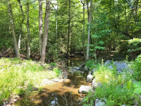0 Georgee Rd, Jamestown, TN 38556