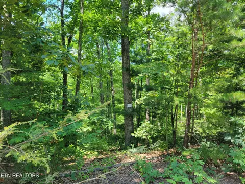 0 Lot 45 Hickory Tree St, Sevierville, TN 37876