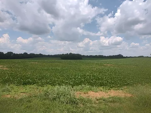1 Benton, Cedar Hill, TN 37032