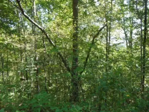 146 Copeland Ln, Celina, TN 38551