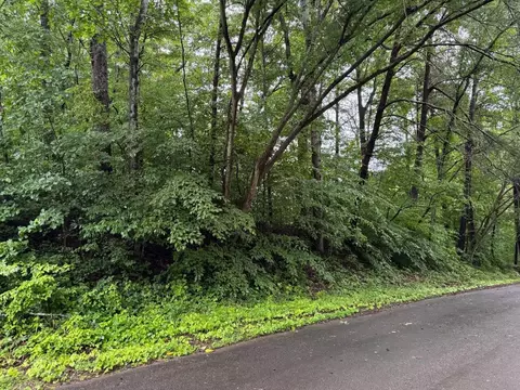 0 Logan Dr, Flintstone, GA 30725