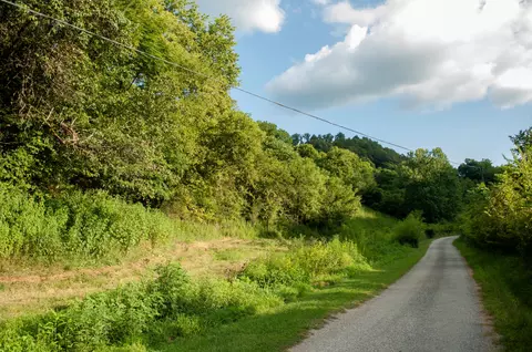 0 Nabors Hollow Ln, Hickman, TN 38567