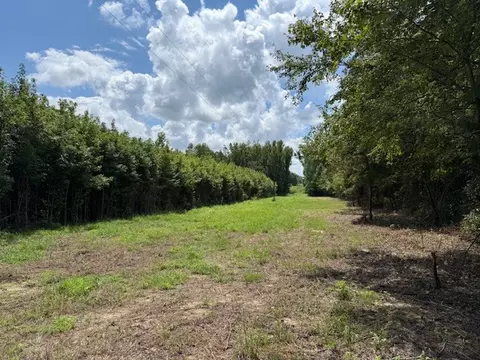 6501 Summitville Rd, Morrison, TN 37357 photo 2