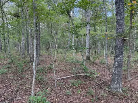 6502 Summitville Rd, Morrison, TN 37357 photo 4
