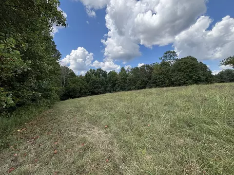 0 Highway 7 #LOT 25, Lyles, TN 37098