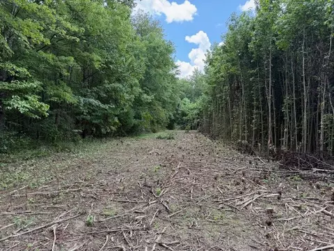 2103 Goforth Rd, Morrison, TN 37357 photo 3