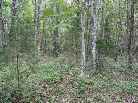 2103 Goforth Rd, Morrison, TN 37357 photo 4