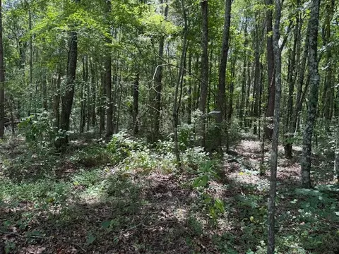 1994 Goforth Rd, Morrison, TN 37357 photo 3