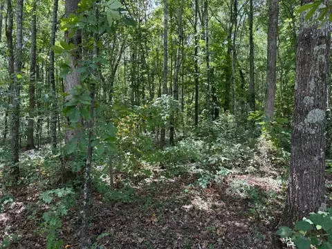 1965 Goforth Rd, Morrison, TN 37357 photo 3