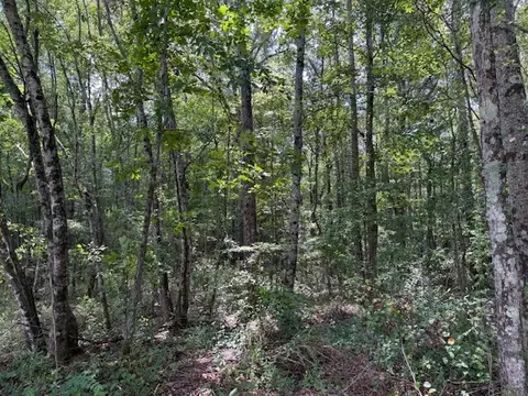 1897 Goforth Rd, Morrison, TN 37357 photo 4