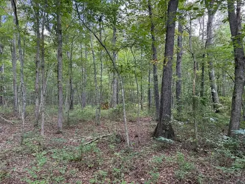 1858 Goforth Rd, Morrison, TN 37357
