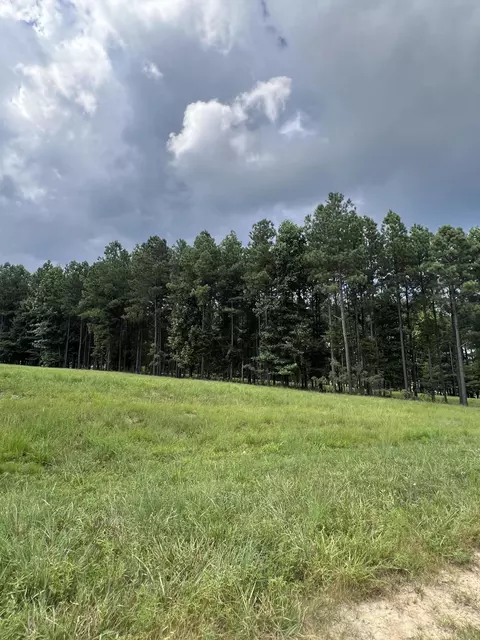 81 Crockett Loop, Jasper, TN 37347 photo 3