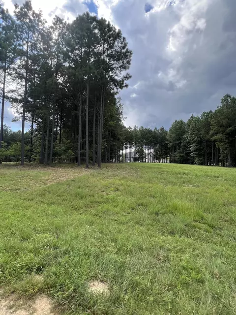 81 Crockett Loop, Jasper, TN 37347 photo 5