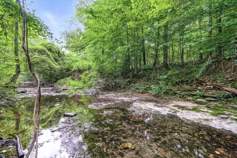 135 Rachelle Pl, Baxter, TN 38544 photo 27