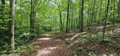 0 Oak Leaf Ln, Dunlap, TN 37327 photo 18