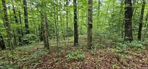 0 Oak Leaf Ln, Dunlap, TN 37327 photo 24
