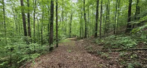 0 Oak Leaf Ln, Dunlap, TN 37327 photo 19