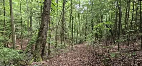0 Oak Leaf Ln, Dunlap, TN 37327 photo 7