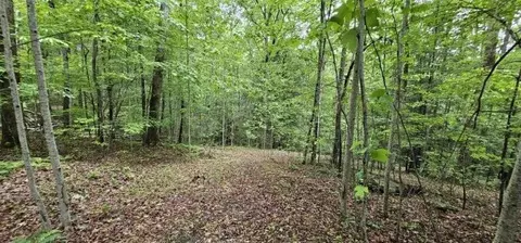 0 Oak Leaf Ln, Dunlap, TN 37327 photo 22