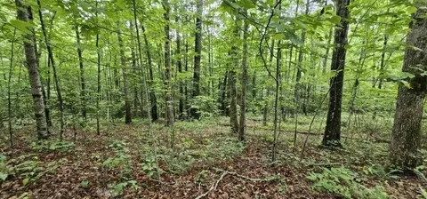 0 Oak Leaf Ln, Dunlap, TN 37327 photo 23