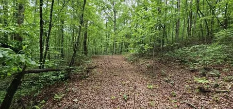 0 Oak Leaf Ln, Dunlap, TN 37327 photo 5