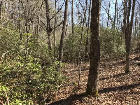 3 Deerhead Rd, Dunlap, TN 37327 photo 4