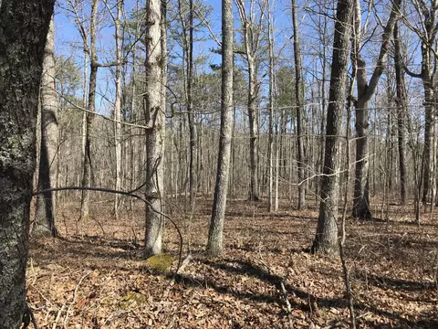 3 Deerhead Rd, Dunlap, TN 37327 photo 3