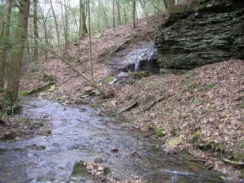 3 Deerhead Rd, Dunlap, TN 37327 photo 7