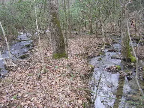 3 Deerhead Rd, Dunlap, TN 37327 photo 14
