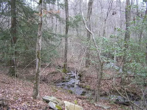 3 Deerhead Rd, Dunlap, TN 37327 photo 21
