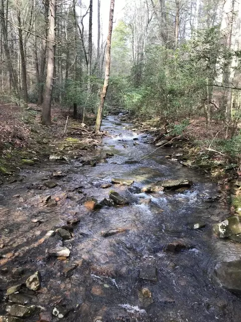 1 Hobbstown Rd, Dunlap, TN 37327
