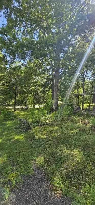 1007 Fawn Cir, Dunlap, TN 37327 photo 17