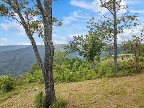 0 Bobcat Trl, Jasper, TN 37347 photo 37