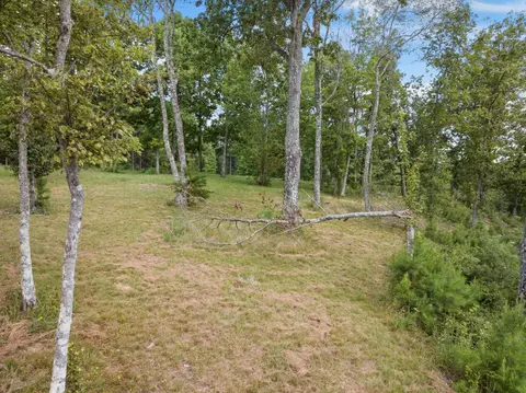 0 Bobcat Trl, Jasper, TN 37347 photo 23