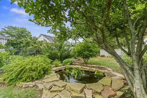 205 Red Jacket Trce, Murfreesboro, TN 37127 photo 41