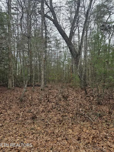 5053 Broken Bow Dr, Crossville, TN 38572
