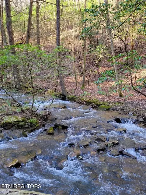 0 Tall Tree Tr, Dunlap, TN 37327