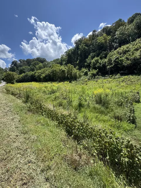 0 Sloan Br, Pleasant Shade, TN 37145