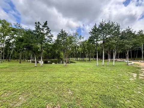 8598 Taliaferro Rd, Eagleville, TN 37060