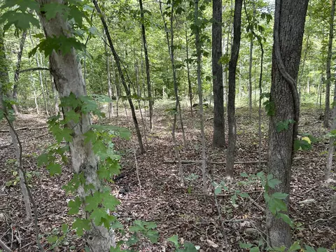 0 Highway 49, Erin, TN 37061