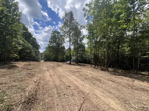 0 Upper Creek Rd, Vanleer, TN 37181