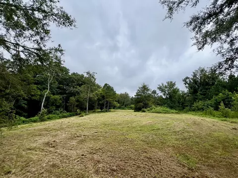 581 Goresville Rd, Prospect, TN 38477