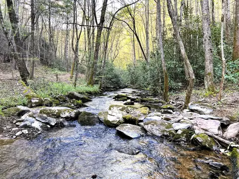 40 Ivy Trl, Tellico Plains, TN 37385