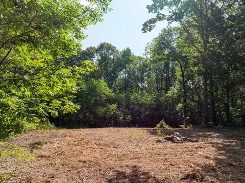 0 Apache Trl, Pegram, TN 37143 photo 9
