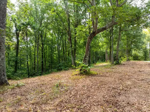 0 Apache Trl, Pegram, TN 37143 photo 5