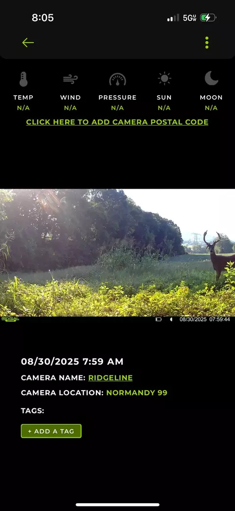 Other - 0 Red Hill Rd, Normandy, TN 37360 photo 8 of 8