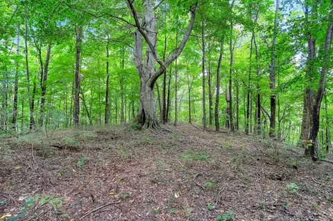 Exterior - 0 Red Hill Rd, Normandy, TN 37360 photo 1 of 2