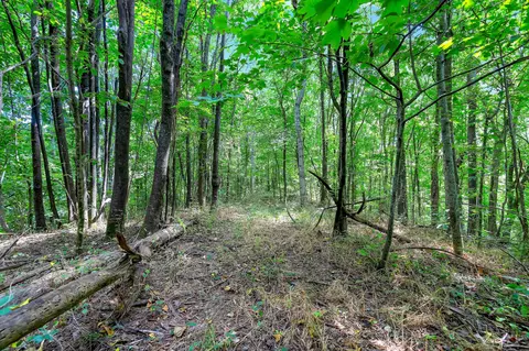 Exterior - 0 Red Hill Rd, Normandy, TN 37360 photo 2 of 2