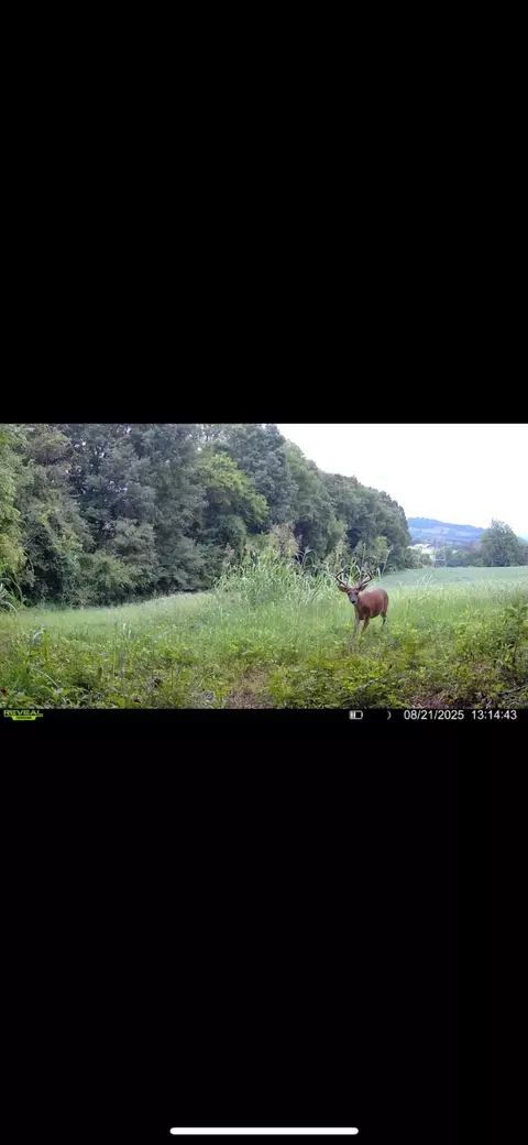 Other - 0 Red Hill Rd, Normandy, TN 37360 photo 6 of 8