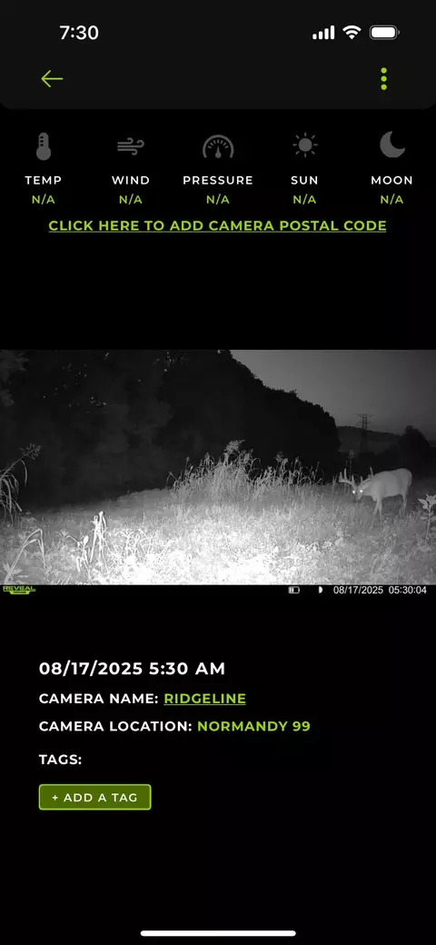 Other - 0 Red Hill Rd, Normandy, TN 37360 photo 4 of 8
